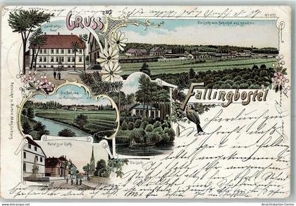 13434419 - Fallingbostel