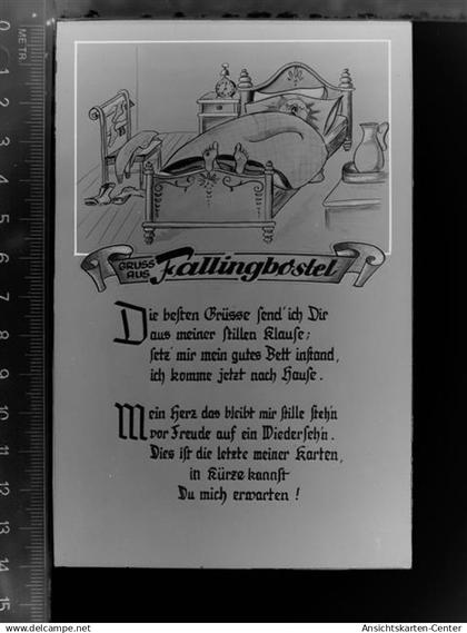 30043854 - Fallingbostel