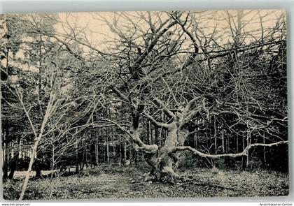 39865698 - Fallingbostel