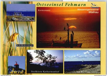 50492244 - Fehmarn