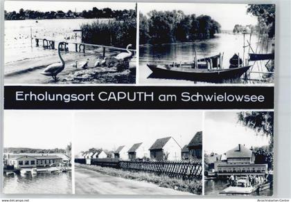 51087808 - Caputh
