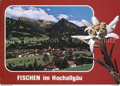 Fischen Allgaeu