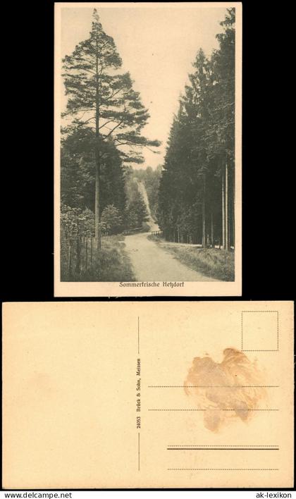 Ansichtskarte Hetzdorf-Flöha (Sachsen) Waldweg 1927
