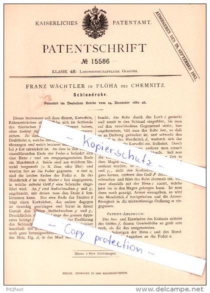 Original Patent - Franz Wächtler in Flöha bei Chemnitz , 1880 ,  Schlundrohr !!!