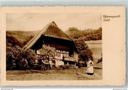 39897802 - Bad Rippoldsau-Schapbach