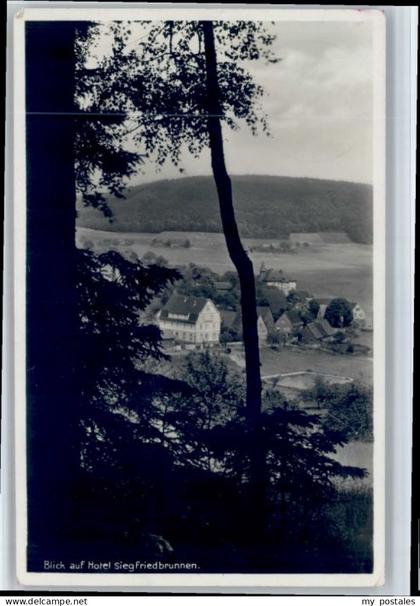 Fuerth Bayern Fuerth [Stempelabschlag] Hotel Siegfriedbrunnen