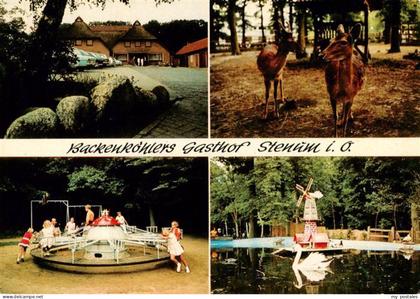 Stenum Ganderkesee Backenkoehlers Gasthof Kinderspielplatz Rehe Schwanenteich