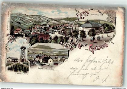 13512568 - Geising
