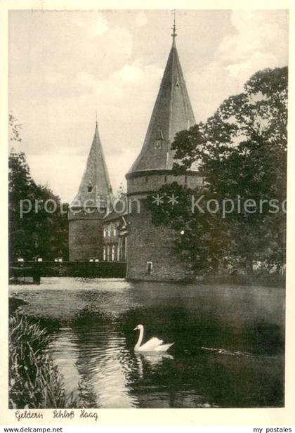 Geldern Schloss Haag Teich Schwan