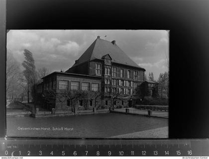30026916 - Horst
