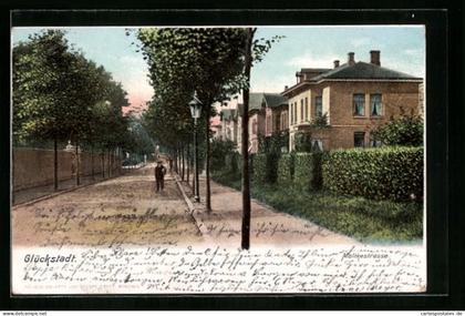 AK Glückstadt, Häuser an der Moltkestrasse