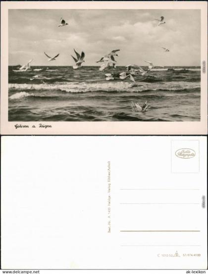 Ansichtskarte Göhren (Rügen) Ostsee, Wellen, Möwen 1953
