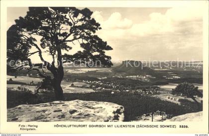 Gohrisch Lilienstein