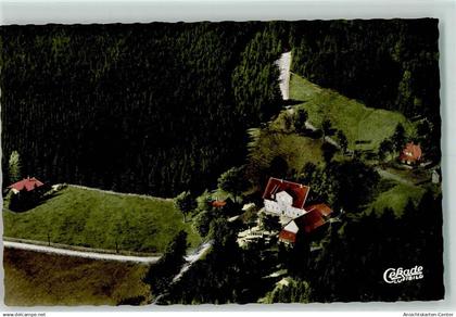 10247196 - Auerhahn , Oberharz
