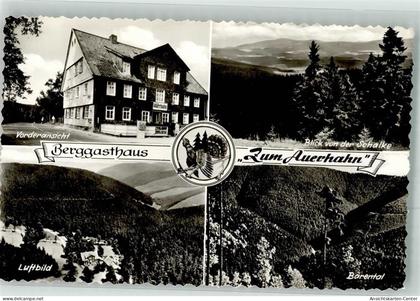 38095421 - Auerhahn , Oberharz