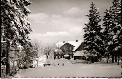 50480820 - Auerhahn , Oberharz