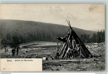52270212 - Auerhahn , Oberharz