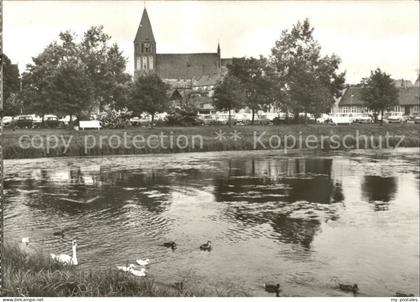 Grimmen Im Park Schwanenteich