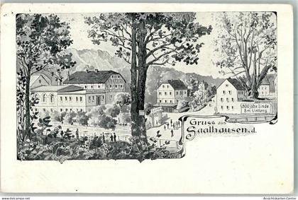 13569928 - Saalhausen , NL