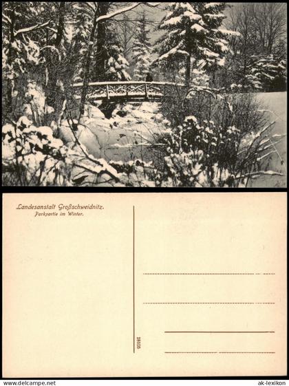 Ansichtskarte Großschweidnitz (OL) Swóńca Parkpartie im Winter 1914