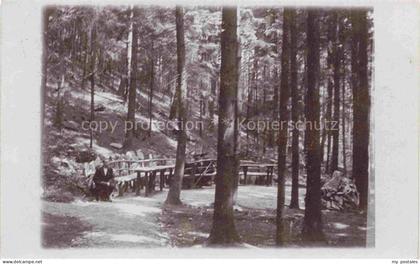 Gross-Schweidnitz Grossschweidnitz Loebau Sachsen Waldpartie