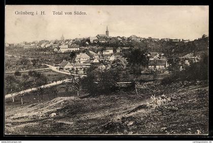 AK Grünberg i. H., Totalansicht von Süden