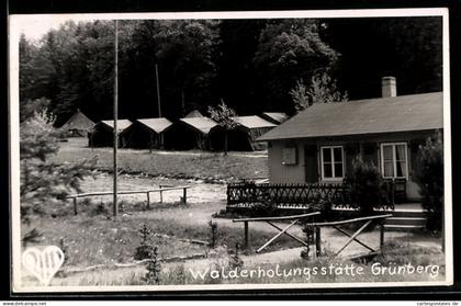 AK Grünberg, Walderholungsstätte, Häuser am Wald