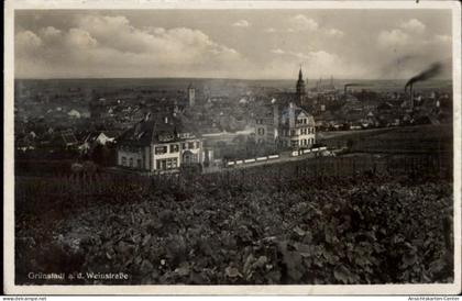 50483324 - Gruenstadt