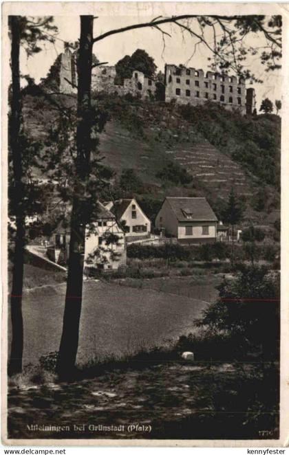 Altleiningen bei Grünstadt Pfalz