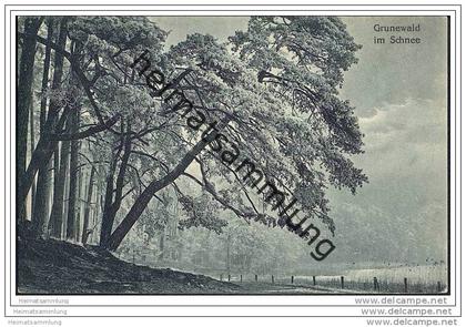 Berlin-Grunewald - Grunewald im Schnee