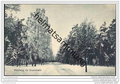 Berlin-Grunewald - Waldweg im Grunewald