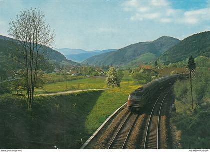 Gutach - Schwarzwaldbahn , Train