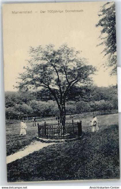 50558652 - Hachenburg