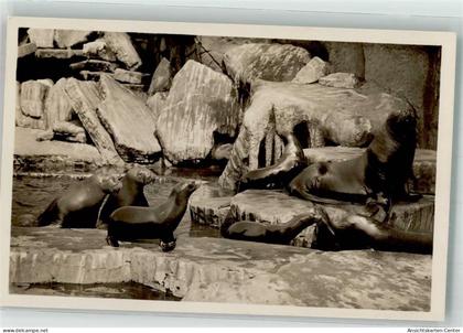 39904229 - Stellingen