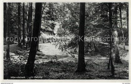 Wandsbek Partie im Gehoelz Wald