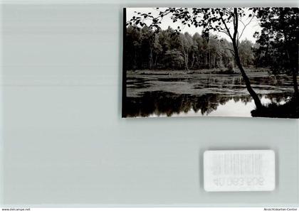 40063506 - Heide , Holst