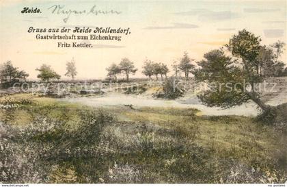 Heide Holstein Panorama