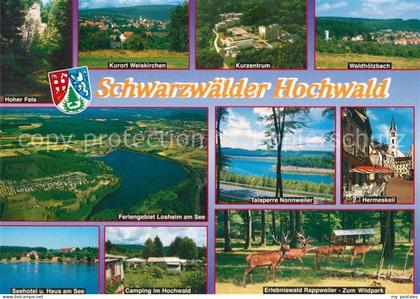 Hermeskeil Hoher Fels Weiskirchen Kurzentrum Waldhoelzbach Camping Wildpark
