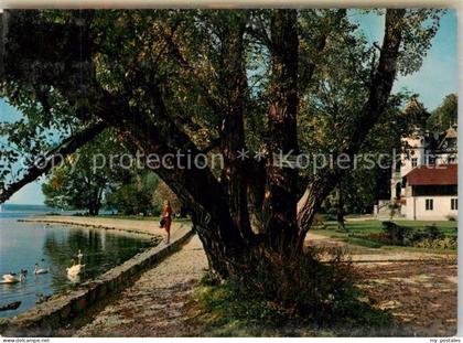 Herrsching Ammersee Seepromenade