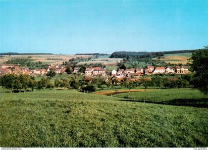 Breitenbrunn Odenwald Panorama