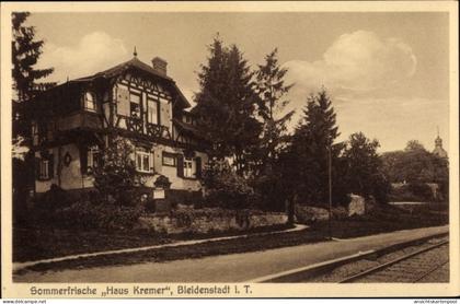 CPA Bleidenstadt Taunusstein Hessen, Sommerfrische Haus Kremer, Bahnstrecke