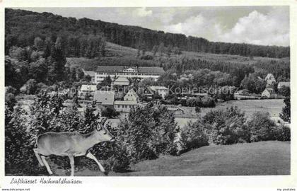 Hochwaldhausen Grebenhain Vogelsbergkreis Hessen Luftkurort Panorama Sanatorium
