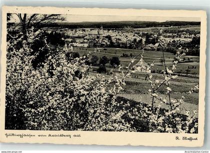 39468884 - Hildburghausen