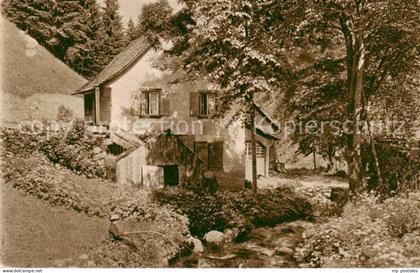Loeffeltal Hinterzarten Schwarzwaldhaus