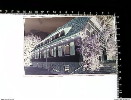 31005787 - Hitzacker Elbe