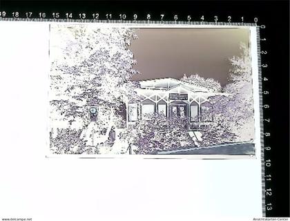 31005791 - Hitzacker Elbe