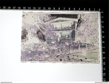 31005794 - Hitzacker Elbe