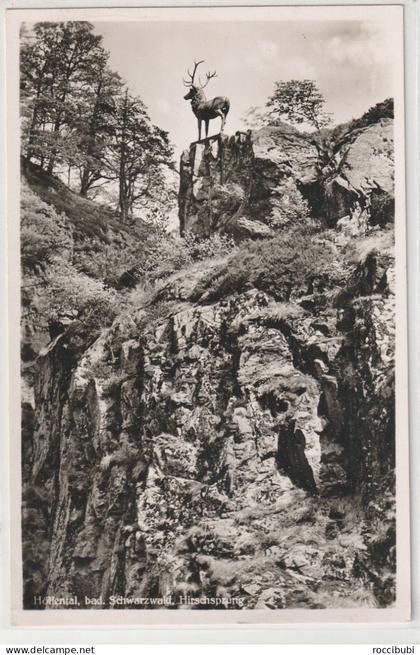 Höllental, bad. Schwarzwald, Hirschsprung