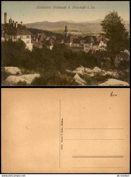Hohwald (Sachsen) Heilstätte Hohwald Fernblick - colorierte Ak 1913