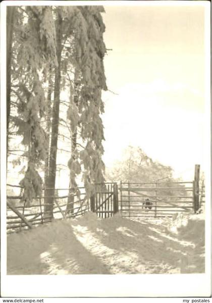 Neuhaus Solling Neuhaus Solling